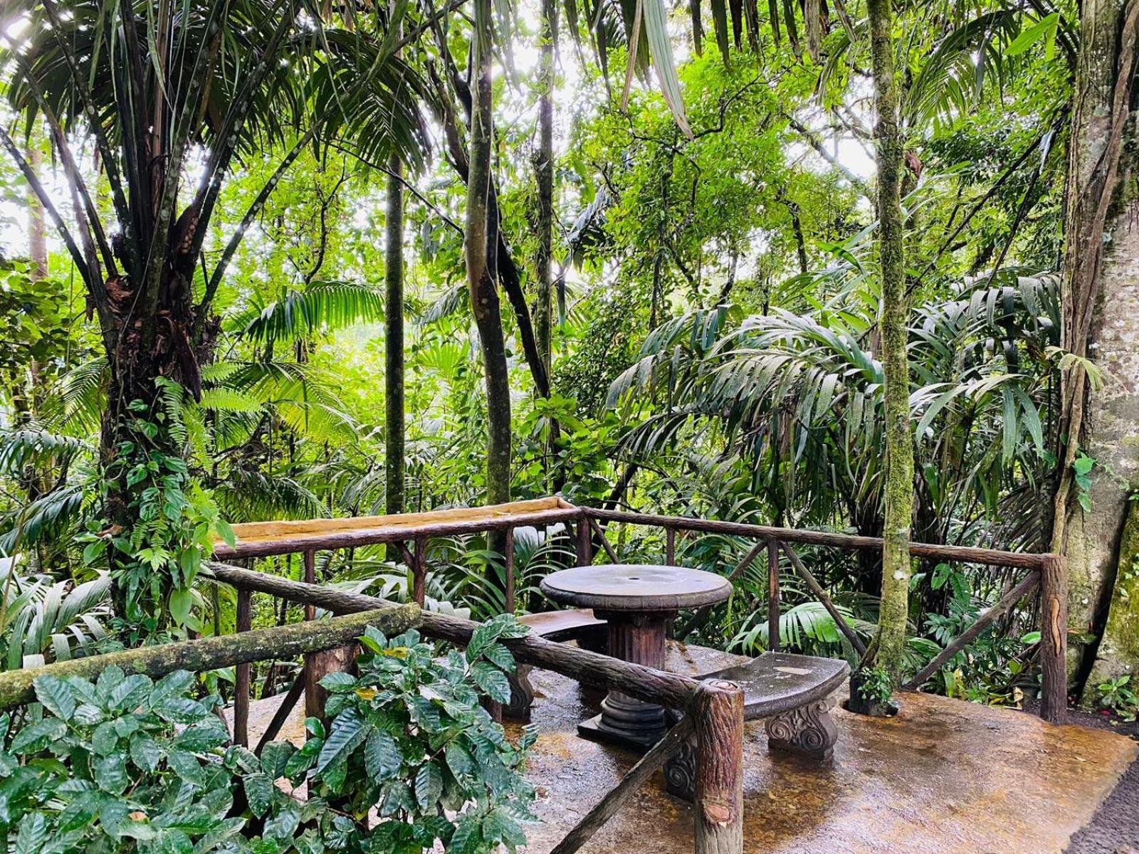 ラ・フォルトゥナ Wellness Park Crヴィラ エクステリア 写真